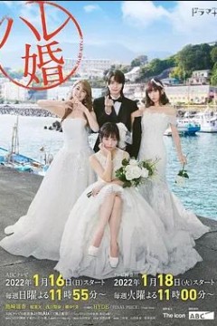 后宫婚
