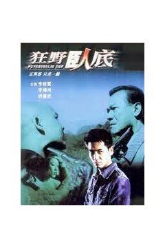 狂野卧底