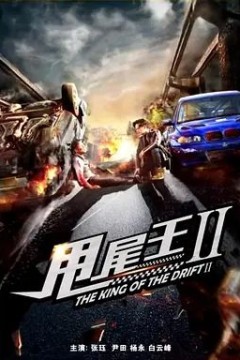 甩尾王22018
