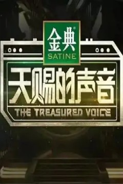 天赐的声音第一季