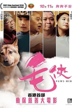 毛侠2018