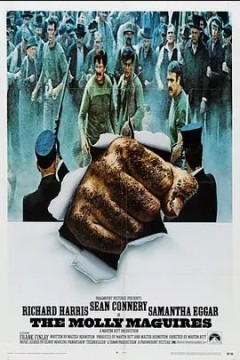 莫莉·马圭尔斯