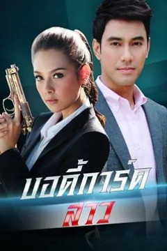 女保镖2013