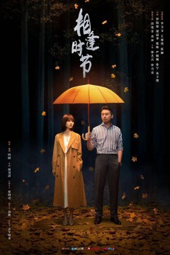 相逢时节2022