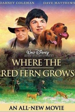 红色羊齿草的故乡