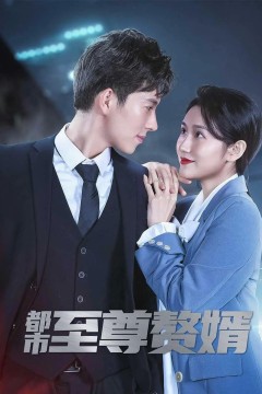 都市至尊赘婿