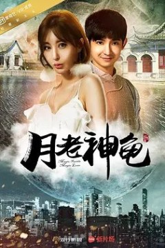 月老神龟2016