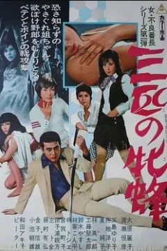 三匹の牝蜂1970