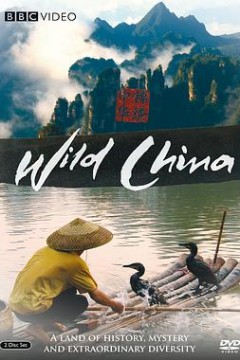 美丽中国