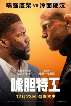 唬胆特工2022