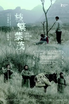枝繁叶茂