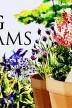 小花园大梦想第一季