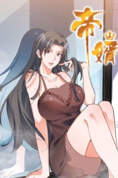 帝婿