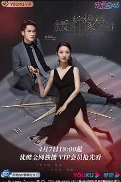 亲爱的柠檬精先生第一季