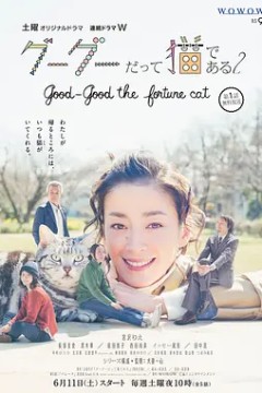 咕咕是一只猫第二季