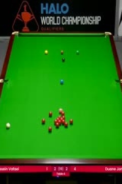 24-25赛季斯诺克世锦赛资格赛第三轮侯赛因·瓦菲4-5杜安·琼斯(第一阶段)20250414