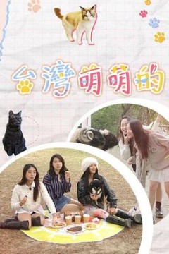 台湾萌萌的