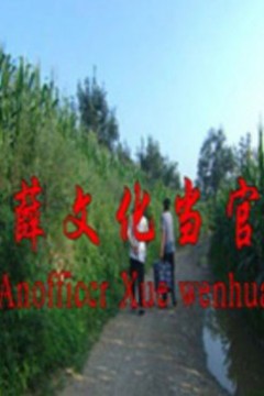 薛文化当官记