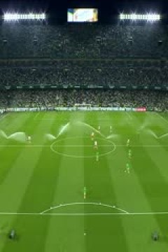 西甲联赛 皇家贝蒂斯VS阿尔梅里亚 20240513