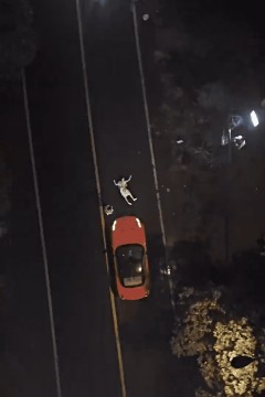 沉罪入眠
