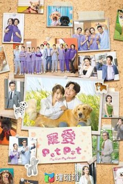 宠爱Pet Pet粤语