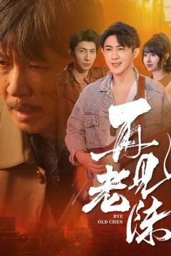 再见老陈