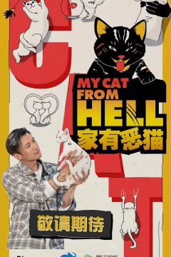 家有恶猫