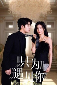 只为遇见你