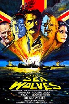 海狼(原声版)上