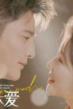 闪婚而已霍先生别太爱