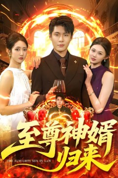 至尊神婿归来