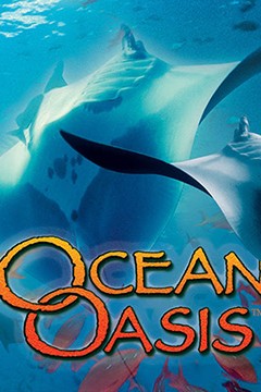 海洋绿洲