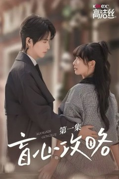 盲心攻略