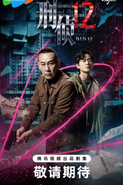 刑侦12(国语版)