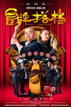 冒牌搭档(粤语)