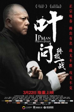 叶问：终极一战粤语版