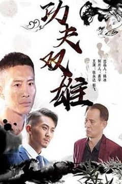 功夫双雄