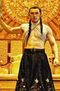 武魂天下(武血丹心)