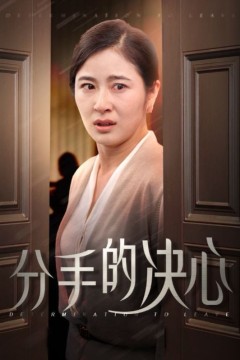 分手的决心