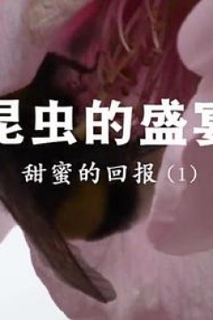 昆虫的盛宴粤语