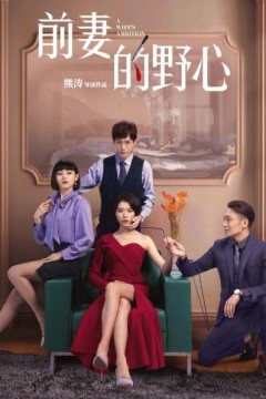 前妻的野心