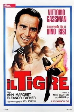猛虎与猫咪1967