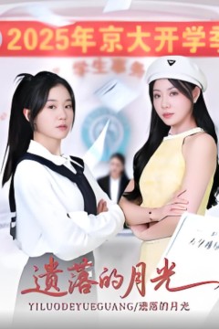 遗落的月光