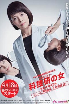 科搜研之女第19季