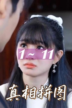 真相拼图
