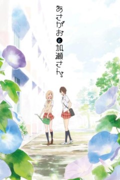 牵牛花与加濑同学