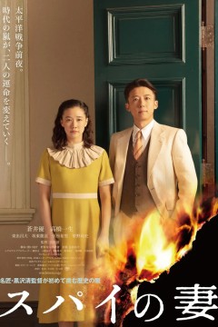 谍之妻