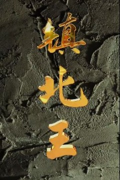 镇北王