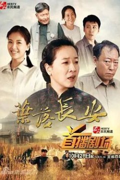 叶落长安