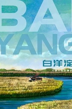 白洋淀